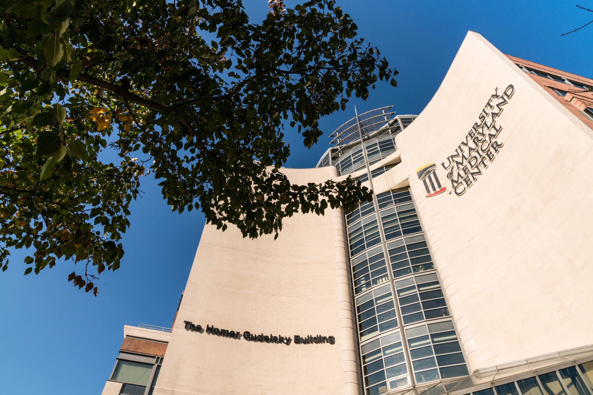 universityofmarylandmedicalcentermesothelioma